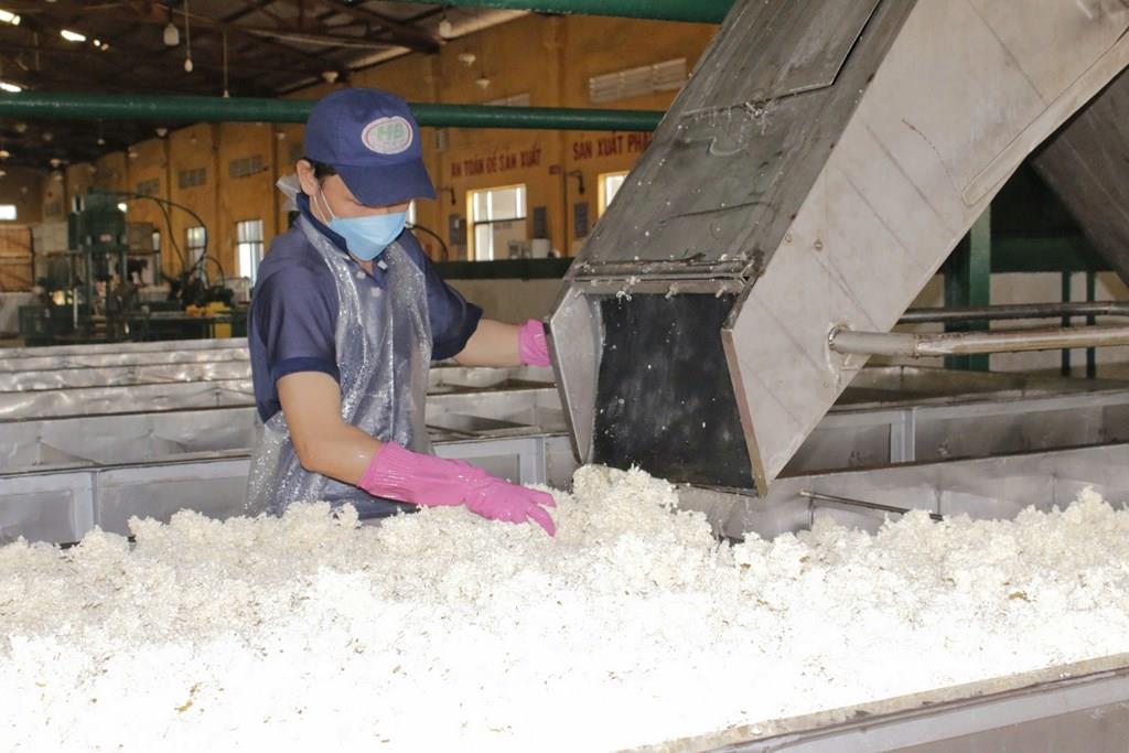 Nguy cơ thiếu hụt cao su toàn cầu trong năm 2025